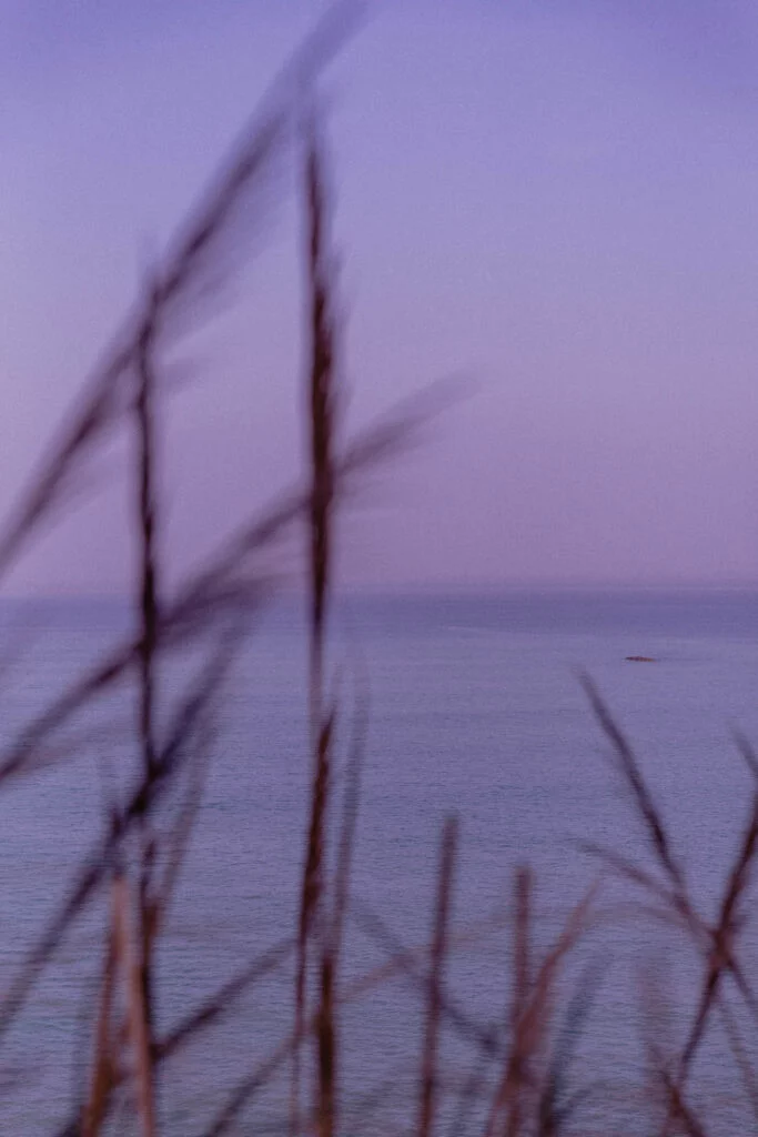 Photographer_sydney australia