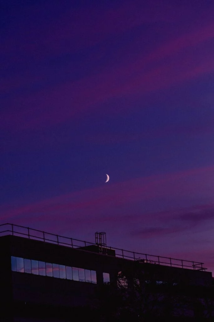 Photographer_sydney australia