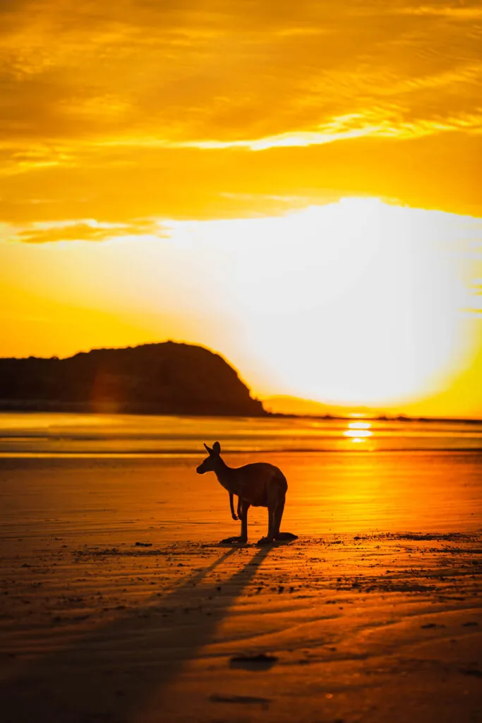 Photographer_sydney australia