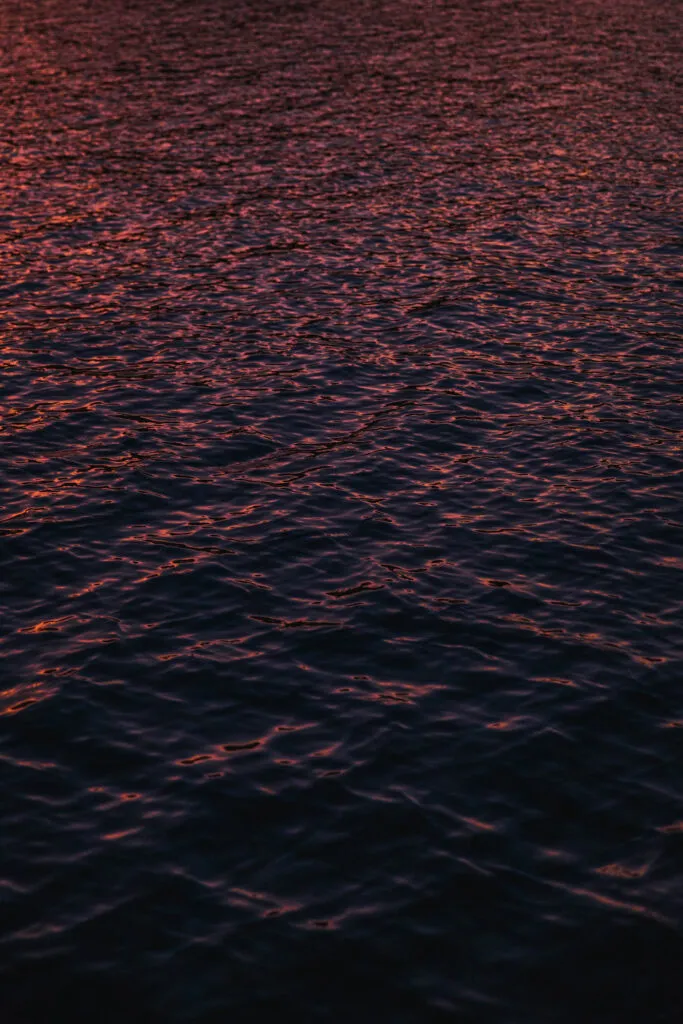 Photographer_sydney australia