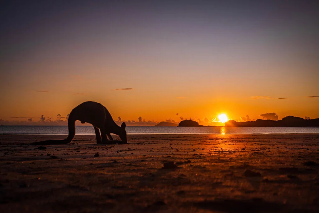 Photographer_sydney australia